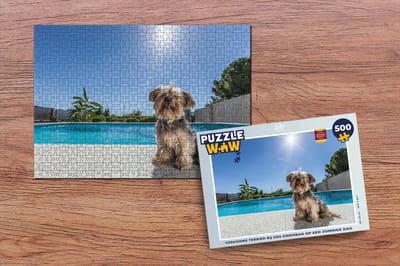 Puzzel Yorkshire Terrier bij een zwembad op een zonnige dag - Legpuzzel - Puzzel 500 stukjes