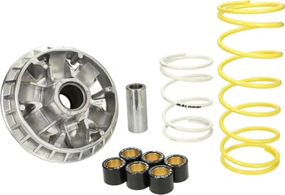 Variateurset Malossi Multivar 2000 voor Honda Foresight, Peugeot SV 250cc 4 Takt