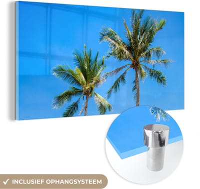 MuchoWow® Glasschilderij 40x20 cm - Schilderij acrylglas - Palm - Zomer - Tropisch - Foto op glas - Schilderijen