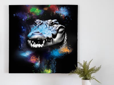 Alligator from the dark | Alligator from the dark | Kunst - 60x60 centimeter op Canvas | Foto op Canvas
