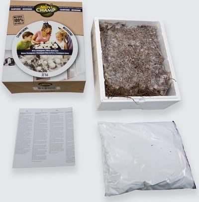 Thuiskweekpakket Bruine Champignon 7.5 Ltr