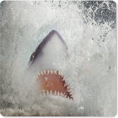 Muismat Haai - Haai komt uit het water muismat rubber - 23x19 cm - Muismat met foto