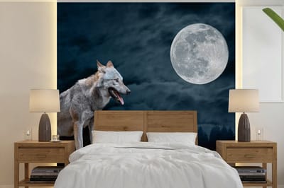 Behang - Fotobehang Wolf - Maan - Nacht - Dieren - Portret - Breedte 220 cm x hoogte 220 cm