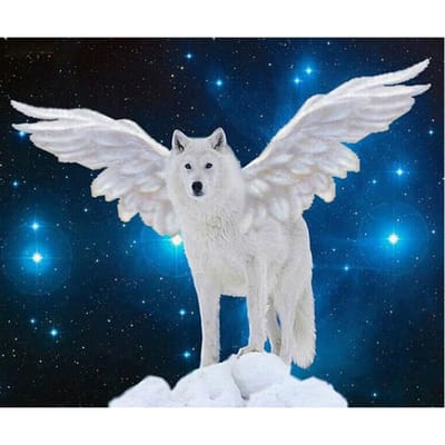 Couture bricolage diamant broderie ailes de loup blanc mouche diamant peinture point de croix rond complet 20X30CM