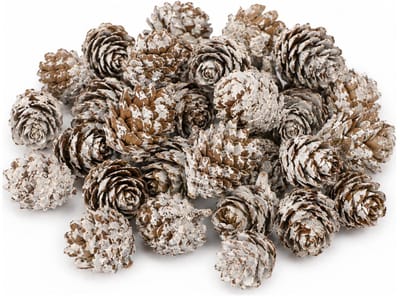 Dijk Natural Collections Kleine decoratie dennenappeltjes - zakje 45 gram - bruin - 1,5-2 cm