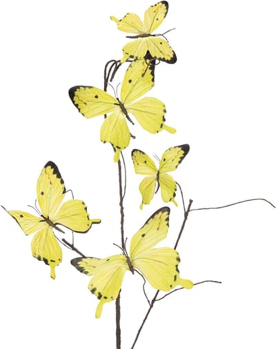 Vlindertak, artistieke lentedecoratie voor binnen, 75 cm