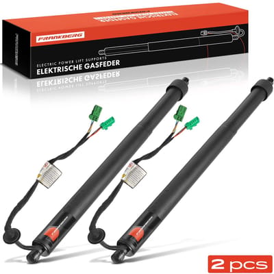 Frankberg 2x Gasveer Elektrisch Hekklep Rechts voor Citroën