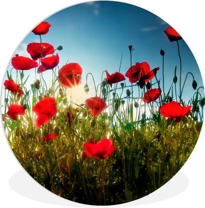 WallCircle® Wandcirkel 30x30 cm - Muurcirkel Klaprozen - Toscane - Zon - Rood - Blauw - Muurdecoratie woonkamer - Wanddecoratie slaapkamer - Kamer decoratie accessoires - Ronde schilderijen