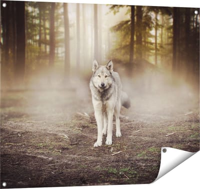Gards Tuinposter Grijze Wolf in het Bos - 100x80 cm - Tuindoek - Tuindecoratie - Wanddecoratie buiten - Tuinschilderij