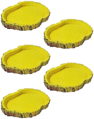 Dailygoods- Voederbak - Veilig, niet-giftig - Voederbak voor hagedissen - Voederbak voor reptielen - Lichtgewicht - 5 stuks - Natuurlijk realistisch ontwerp - Reptielenvoerbak