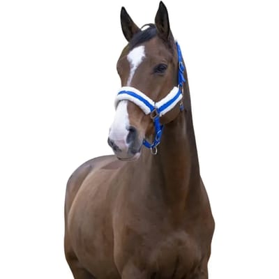 Halster voor paarden Norton Confort