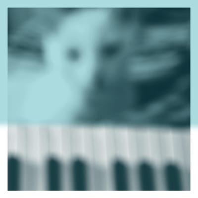 Piano Works Vol.1: Floating In Tucker's Basement - Peter Broderick