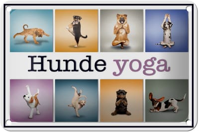 Blechschild Hund 18x12cm Hunde Yoga Wanddeko bunt