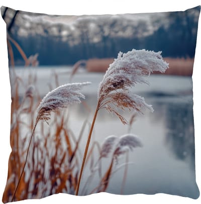Sierkussens - Kussentjes Woonkamer - 50x50 cm - Riet - Gras - Natuur - Winter - Meer