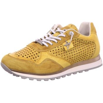Nette Schoenen Cetti -