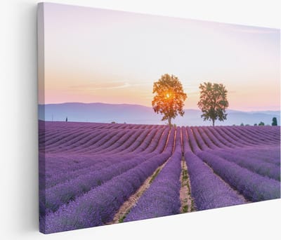 Saammp Muurcirkel Hout - Boeddha - Roze Lotus Bloem - Ø 90 - Wandcirkel - Wanddecoratie Cirkel - Muurdecoratie Woonkamer - Muurcirkel Houten