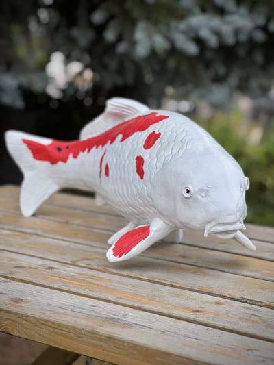 Koi Karper wit en rood 25 cm hoog rechtsgericht - polyester - polystone - beeld - vis - vijverdecoratie - tuinbeeld - hoogkwalitatieve kunststof - decoratiefiguur - interieur - accessoire - voor binnen - voor buiten - cadeau - geschenk