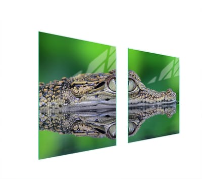TMK ArtDeko - Protectieplaat voor Fornuis - Versierde Glazen Plaat - 85x52 cm - Veelzijdig - Krokodilontwerp