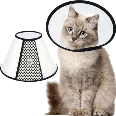 Huisdieren Beschermende Kraag, Elizabeth Beschermende Kraag Anti-Beet Likken Praktische Veiligheid Nek Cover, Kegelband Halsband Bijzondere Bescherming voor Katten, Kleine Honden(20-24cm)