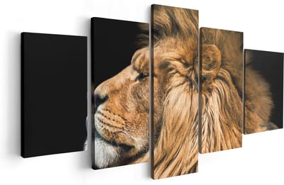 Artaza Canvas Schilderij Vijfluik Leeuw - 100x50 - Foto Op Canvas - Canvas Print