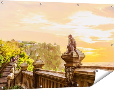 Gards Tuinposter Aap op de Uluwatu Tempel in Bali - 120x80 cm - Tuindoek - Tuindecoratie - Wanddecoratie buiten - Tuinschilderij