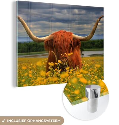 MuchoWow® Glasschilderij 160x120 cm - Schilderij acrylglas - Schotse Hooglander - Dieren - Bloemen - Foto op glas - Schilderijen