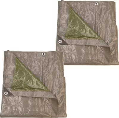 Talen Tools Afdekzeil/dekzeil - 2x - grijs/groen - kunststof - 140 gr/m2 - 200 x 300 cm - waterdicht