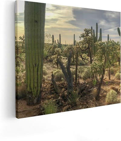 Artaza Canvas Schilderij Saguaro Woestijn - 50x40 cm - Wanddecoratie Landschap - Muurdecoratie Botanisch - Kamer Accessoires