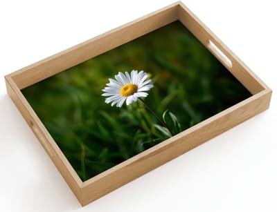 Dienblad hout 40x30 cm - Schootdienblad - Wit - Madeliefje - Bloem - Gras - Borrelplank rechthoek - Plateau dienbladen