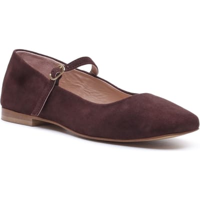 Hush Puppies Pasha Suède Dames Chocolade Ballerina's