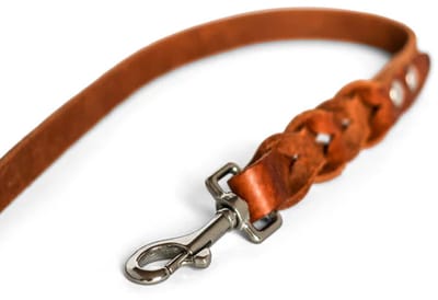 Cooper & Quint Twisted - Hondenriem gevlochten leer - Camel - 140cm - Zilver