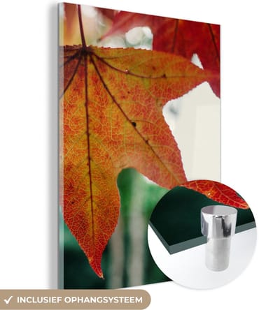 MuchoWow® Glasschilderij 30x40 cm - Schilderij acrylglas - Herfst - Landelijk - Bladeren - Seizoenen - Landelijk - Foto op glas - Schilderijen