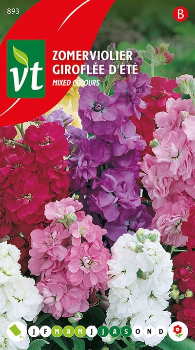 Zomerviolier Zaden 'Gemengd' - Kleurrijke Mix voor Zomerbloembedden met Lange Bloei