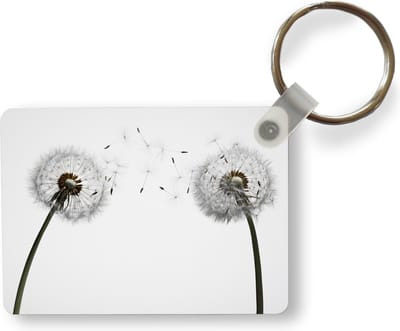 Sleutelhanger - Illustratie - Zaden - Paardenbloem - Uitdeelcadeautjes - Plastic