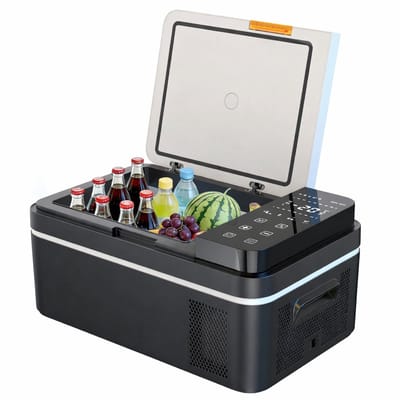 Celestul - Coolbox - Koelbox 21L - Elektrische Coolbox - Draagbare mini koelkast - Draagbare Auto Vriezer 12/24Volt - Zwart\Grijs