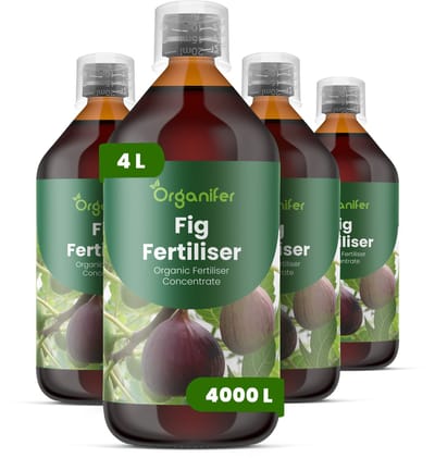 Vloeibare Meststof Voor Vijgen - 4X1 L Voor 4000 L - Npk 2-1-8 - Gezond Blad En Frui - Bevordert Groei En Fruitkwaliteit - Versterkt Het Wortelstelsel - Vergroot De Weerstand - Verhoogt De Algehele Vitaliteit - Organifer