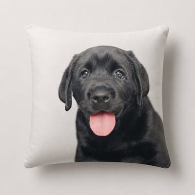Unique Living - 3 stuks - kussenhoes - sierkussenhoes - wit - zwart - 45 x 45 cm - rits - fluweel - hond - Labrador pup