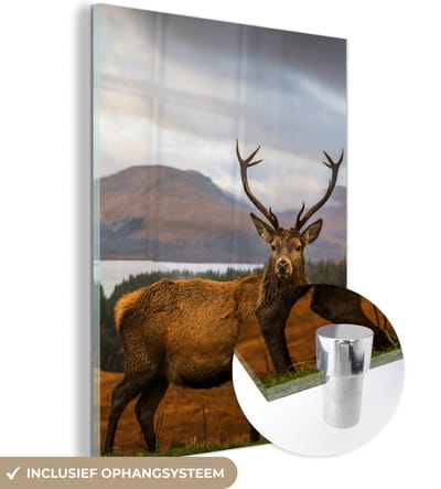 MuchoWow® Glasschilderij 120x160 cm - Schilderij acrylglas - Hert - Berg - Water - Landschap - Dieren - Bomen - Foto op glas - Schilderijen