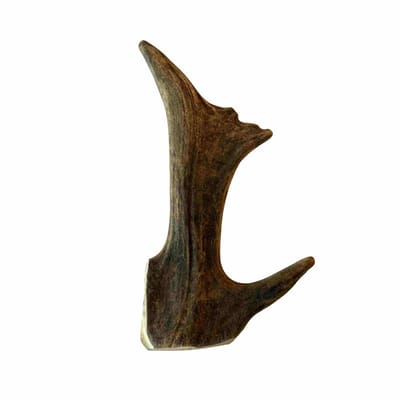 Damhertengewei - hertengewei voor hond - hondensnack 100% natuurlijk maat L, 20-25 cm