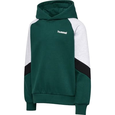 hmlJR LOOSE BLOCKED HOODIE