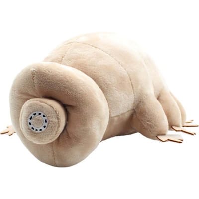 25cm Zacht Diepzeedier Katoen Huisdecoratie Knuffel    Waterbeer  Dier bruin