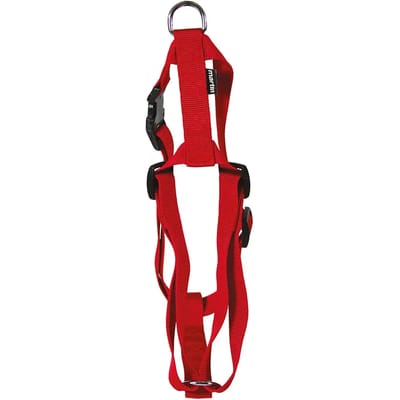 Hondentuig Nylon Martin - Rood - Maat S 35-50x1.6 cm met Kliksysteem