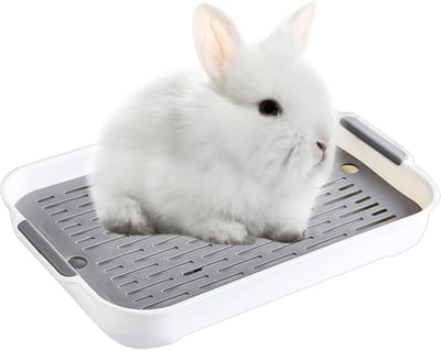 dienblad, kattentoilet, hamstertoilet, kunststof rooster, toilet voor kleine dieren, chinchilla's, hamsters, hazen, cavia's (wit, S)