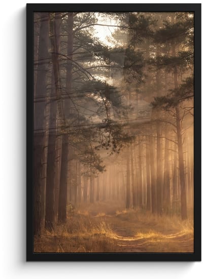 Poster in lijst - Fotolijst 40x60 cm - Posters - Bos - Mist - Zonlicht - Posterlijst zwart - Decoratie - Wanddecoratie woonkamer - Muurdecoratie slaapkamer