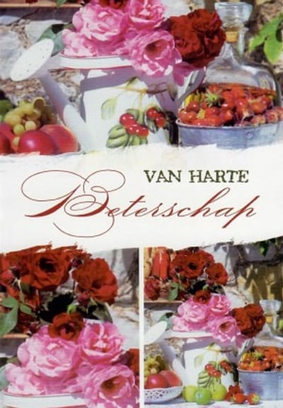 Van harte beterschap! Een bijzondere en kleurrijke kaart met een afbeelding van bloemen en fruit om snel je snel weer beter te voelen. Leuk om zo te geven of om bij een cadeau te voegen. Een dubbele wenskaart inclusief envelop en in folie verpakt.