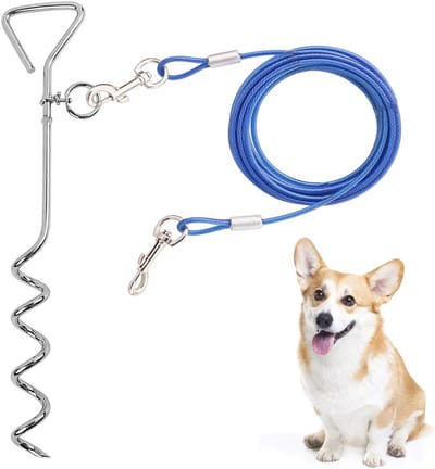Hond Stake Tie Out Kabel - 76 cm - Anti-Roest Reflecterende Staking voor Middelgrote en Grote Honden tot 125 kg - Hondenkabelloper voor Tuin en Camping