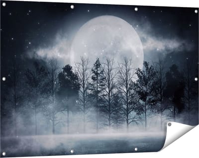 Gards Tuinposter Maan tussen de Bomen in de Nacht - 120x80 cm - Tuindoek - Tuindecoratie - Wanddecoratie buiten - Tuinschilderij