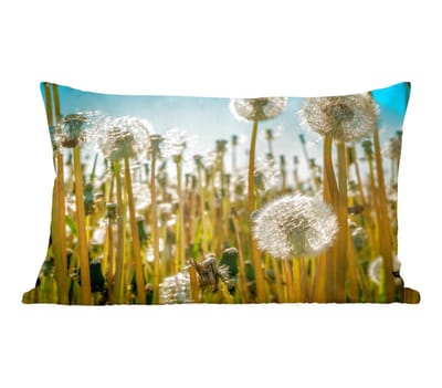 Sierkussens - Kussentjes Woonkamer - 50x30 cm - Bloemen - Paardenbloem - Grasveld