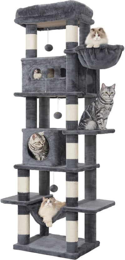 Kattenboom – Voor Binnengebruik en Maine Coon – 170 cm Grote Kattenboom met Meerdere Levels, Groot Ligvlak en Wasbare Mat – Grijs