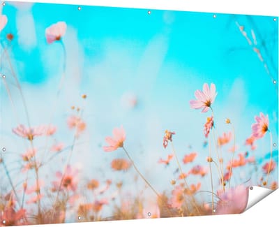 Gards Tuinposter Paarse Kosmos Bloemen - 180x120 cm - Tuindoek - Tuindecoratie - Wanddecoratie buiten - Tuinschilderij